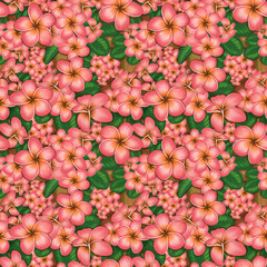 Seamless pattern with pink frangipani flowers and green leaves. Spring blossom. Seamless floral pattern. 