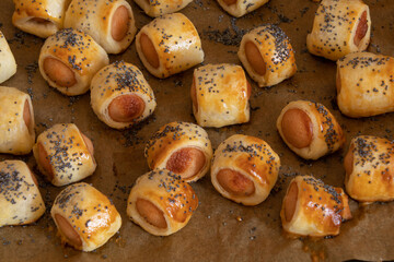 sausage puff baked with poppy seeds on a wooden background