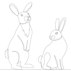 rabbits, hares drawing in one continuous line, isolated vector