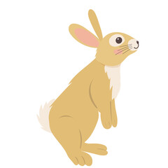 rabbit, hare flat design on white background, isolated vector