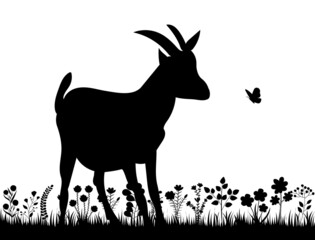 goat in the grass silhouette, isolated vector