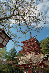 Fototapeta premium Japan