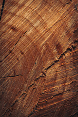 old wood texture