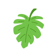Fototapeta na wymiar Monstera Tropical leaf. Hand drawn vector design element.