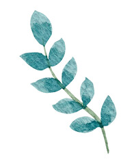 Green leaf watercolor on white background