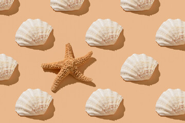 Flat semicircular sea shell and starfish on a beige background