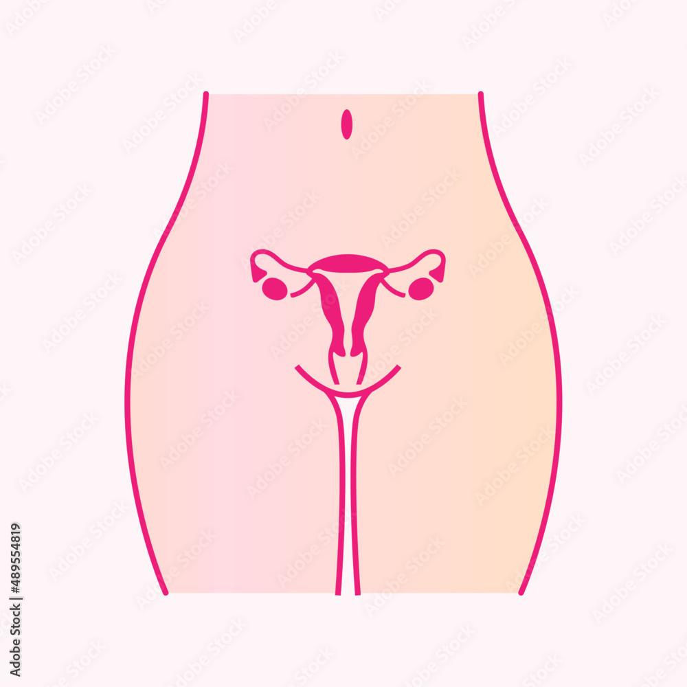 Wall mural Vector illustration of the uterus and the female reproductive system. Menstrual cramps and pain linear icon. Gynecological diseases in women - uterus and ovary disorders, Lower abdominal acute pain