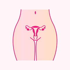 Vector illustration of the uterus and the female reproductive system. Menstrual cramps and pain linear icon. Gynecological diseases in women - uterus and ovary disorders, Lower abdominal acute pain