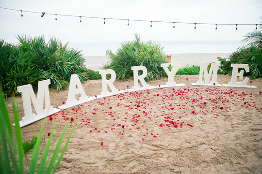 White Proposal letters Marry me outside Sign saying "marry me" Rose petals decoration Marry Me Proposal Picture Corner 