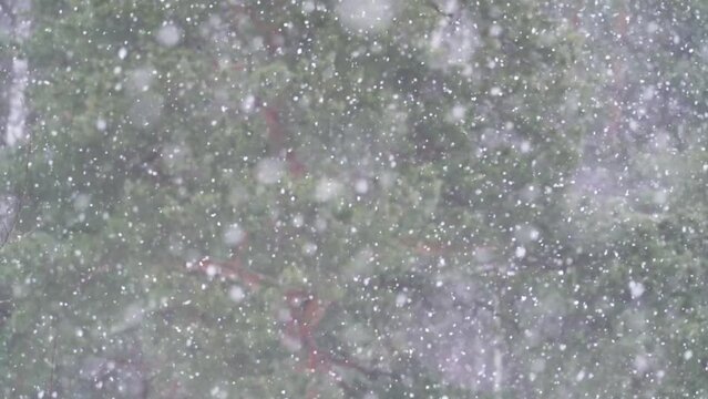 Close up of snowflakes falling in slow motion during a blizzard