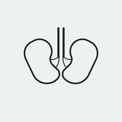 Kidneys vector icon illustration sign