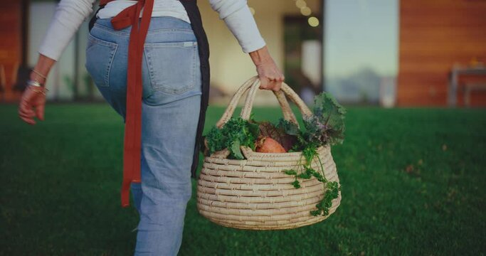 Woman carrying basket full of fresh picked vegetables from the garden to the house