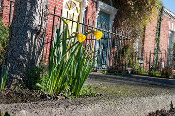 Spring in Dublin