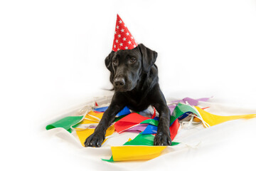 Feest vieren