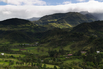 Fototapeta na wymiar Typical vegetation of the area near Popayan, Colombia