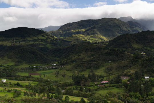 Typical vegetation of the area near Popayan, Colombia
