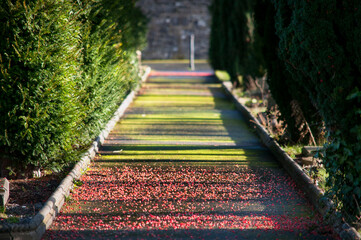Red and green path