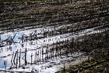 Flooded crop field. Agriculture ground after rain under water. Flooded agriculture fields in a spring. Selective focus