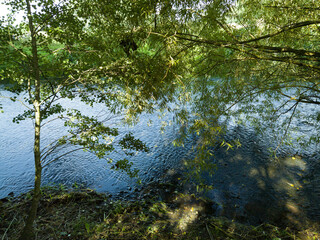 The gardens and estate of coughton court stately home warwickshire england uk