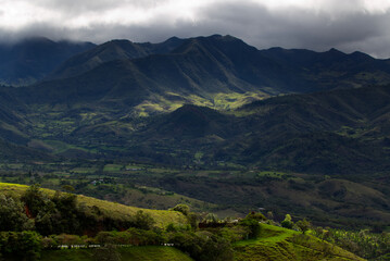 Typical vegetation of the area near Popayan, Colombia