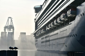 Port of Los Angeles  © Byron Moore