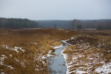 A small river in spring among fields and forests