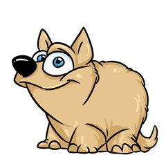 Shaggy coat dog animal illustration cartoon character isolated