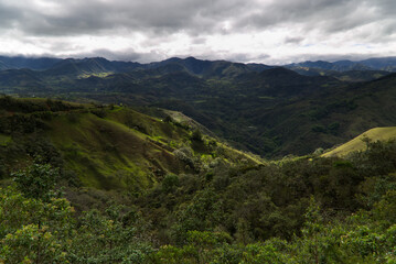 Typical vegetation of the area near Popayan, Colombia