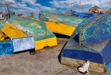  3 botes de pesca invertidos amarillos azules y verdes en Essaouira (Marruecos) con un gato en...