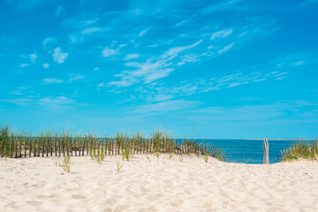 Sand, grass, fence, and bright blue sky in Cape Cod