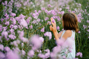 A young girl in a white dress inspects a flower in a field of purple flowers