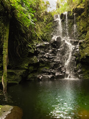 Naklejka na ściany i meble waterfall in the forest, cascada Costa Rica