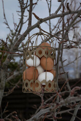 Moscow, Russia, February 2022, Easter card, copper cage with Easter eggs on a tree branch against...