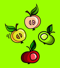 Fruits vector illustration