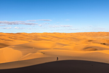 Shadow of the photographer in Sahara Desert landscape
On the top of the sand dune shooting the golden yellow vast sand dunes and cloudy blue sky.