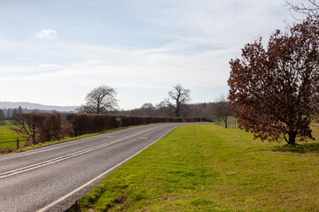 Fototapeta premium road in the countryside