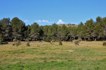 Colline de Figuerolles en pays martégal