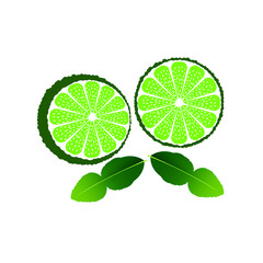 leaf kaffir Bergamot orange fruit. Makrut or raw kaffir lime. A whole, half, and a piece.Tropical exotic food.Citrus or lemon fruits. isolated on white background. vector illustration EPS. Flat design