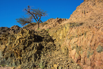Colored canyon with red sandstone and limestone rocks, Nabq protected area, Sharm El Sheikh, Sinai peninsula, Egypt, North Africa. Egyptian safari