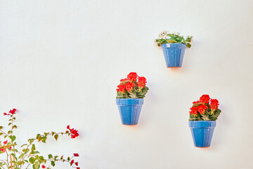 Flower pot hanging on a wall