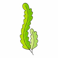 Fabulous illustrations and design elements. Illustration in hand draw style