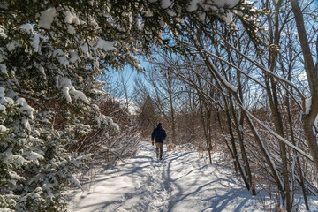 Walking the dog on a sunny winter day