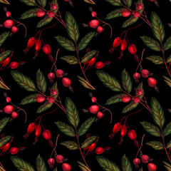 Seamless watercolor pattern of branches of leaves and rose hips on a black background, hand drawn, ideal for wrappers, wallpapers, fabrics, textiles.