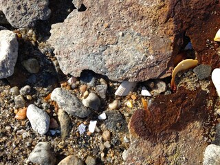 Rust - Beach Mini Set #1