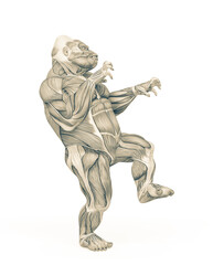 gorilla muscle map anatomy is walking in halloween style
