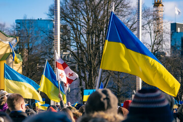 Ukraine and Georgia flags at a protest