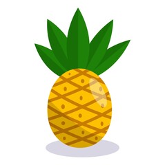 Pineapple icon in flat style isolated on white background.