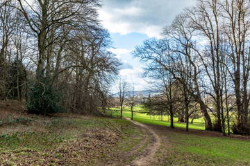 path in the park