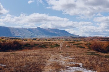 Fototapeta premium Processed with VSCO with m5 preset