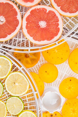 fresh sliced grapefruit, persimmon, lime and lemon lie on the round grate of the fruit and vegetable drying machine, top view